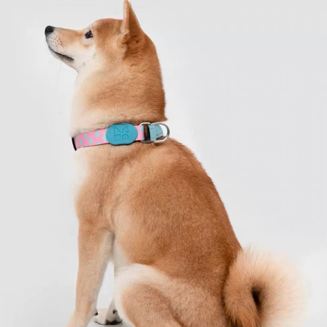 Colorful Pro Series Half P-chain Training Collar [Bobby]