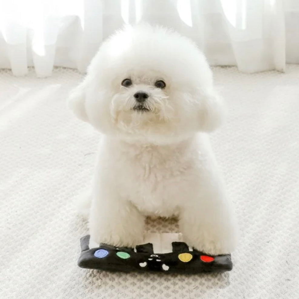 🎹 Piano Hide-and-Seek Squeaky Toy