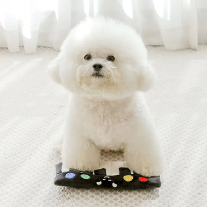 🎹 Piano Hide-and-Seek Squeaky Toy