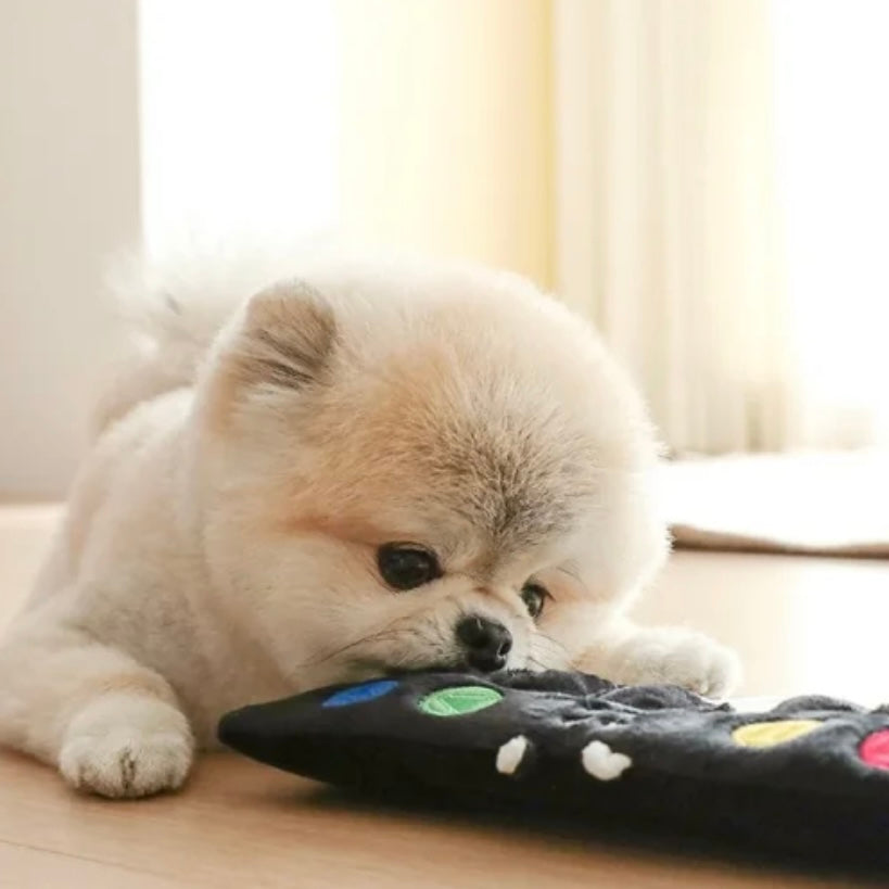 🎹 Piano Hide-and-Seek Squeaky Toy