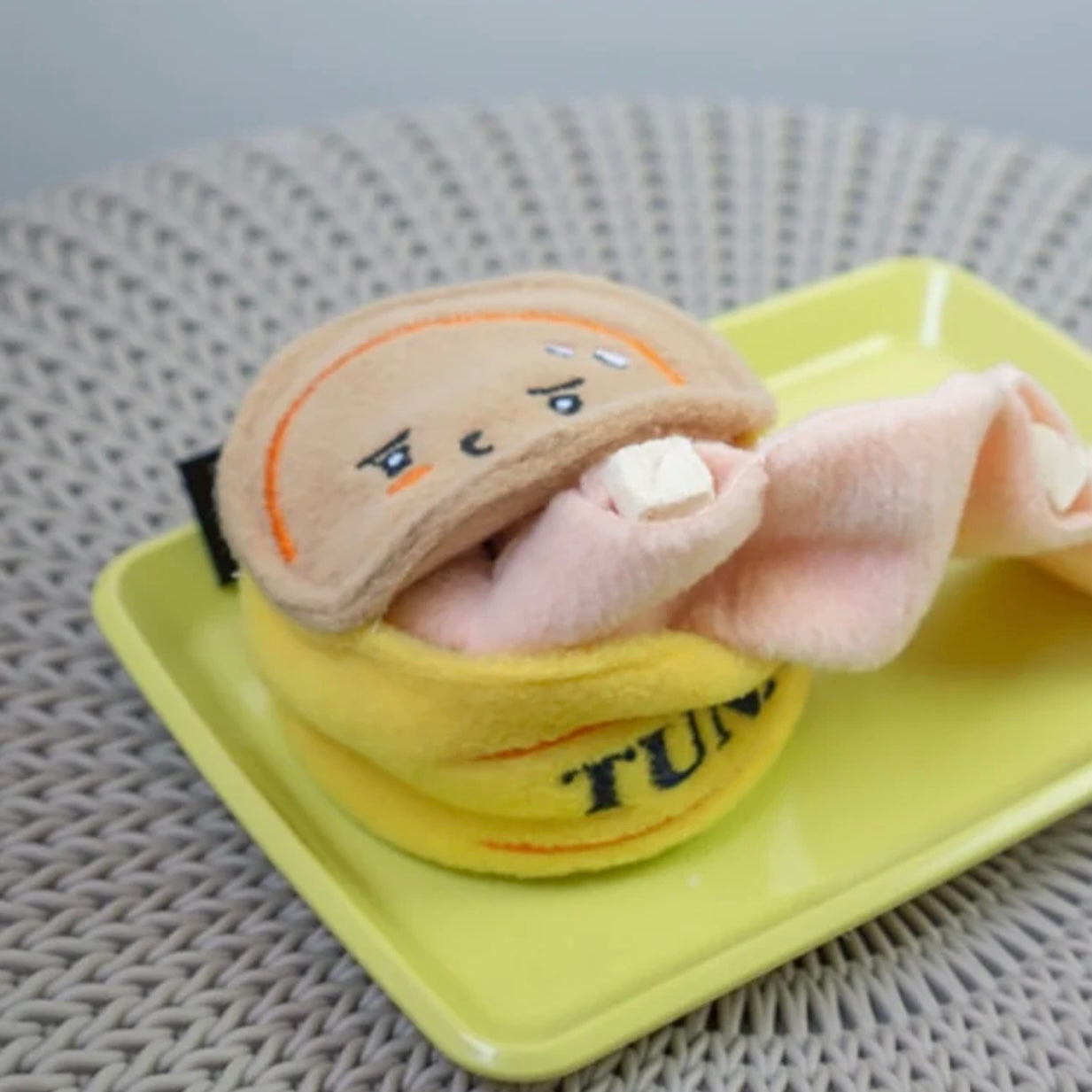 🐟 Tuna Can Hide-and-Seek Toy