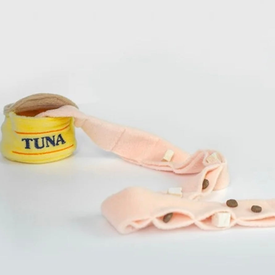 🐟 Tuna Can Hide-and-Seek Toy