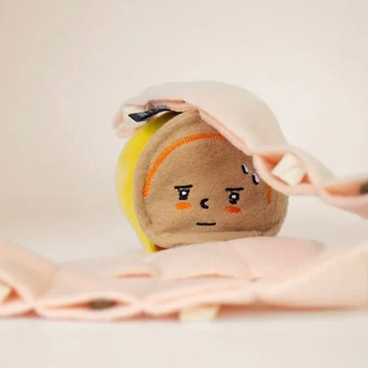 🐟 Tuna Can Hide-and-Seek Toy