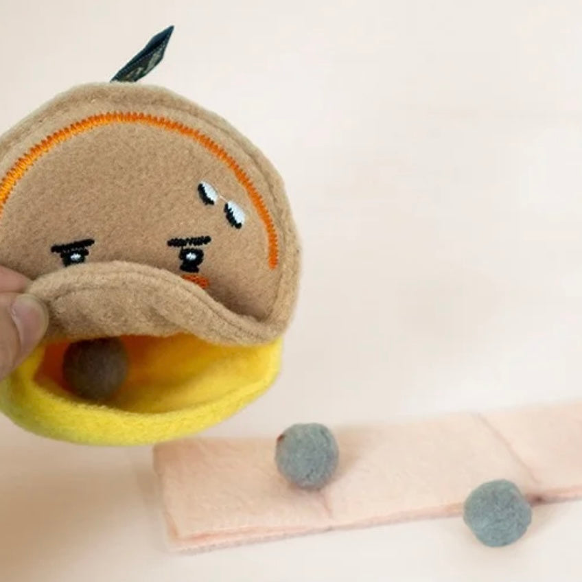 🐟 Tuna Can Hide-and-Seek Toy