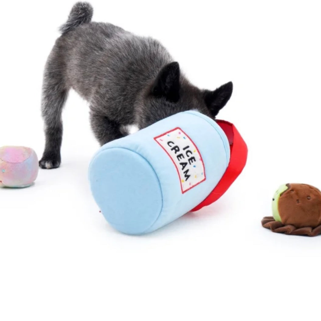 🍨 Ice Cream Tub with Squeaky Balls Chew Toy
