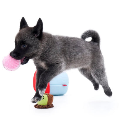 🍨 Ice Cream Tub with Squeaky Balls Chew Toy