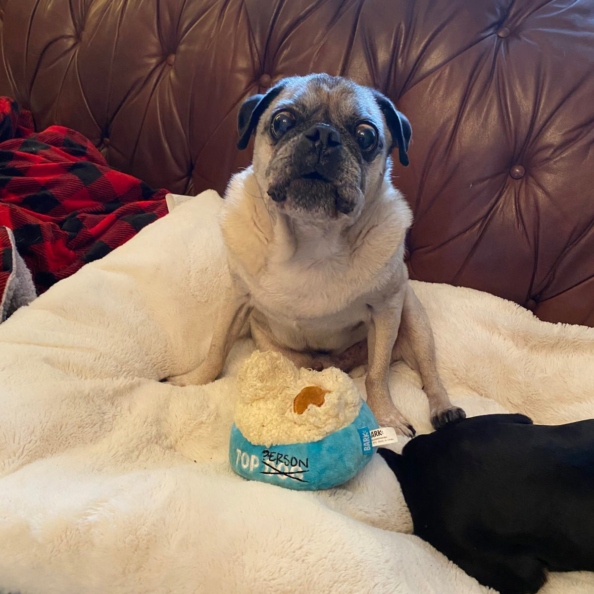 🥔Mashed Puptatoes Squeaky Toy