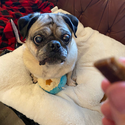 🥔Mashed Puptatoes Squeaky Toy