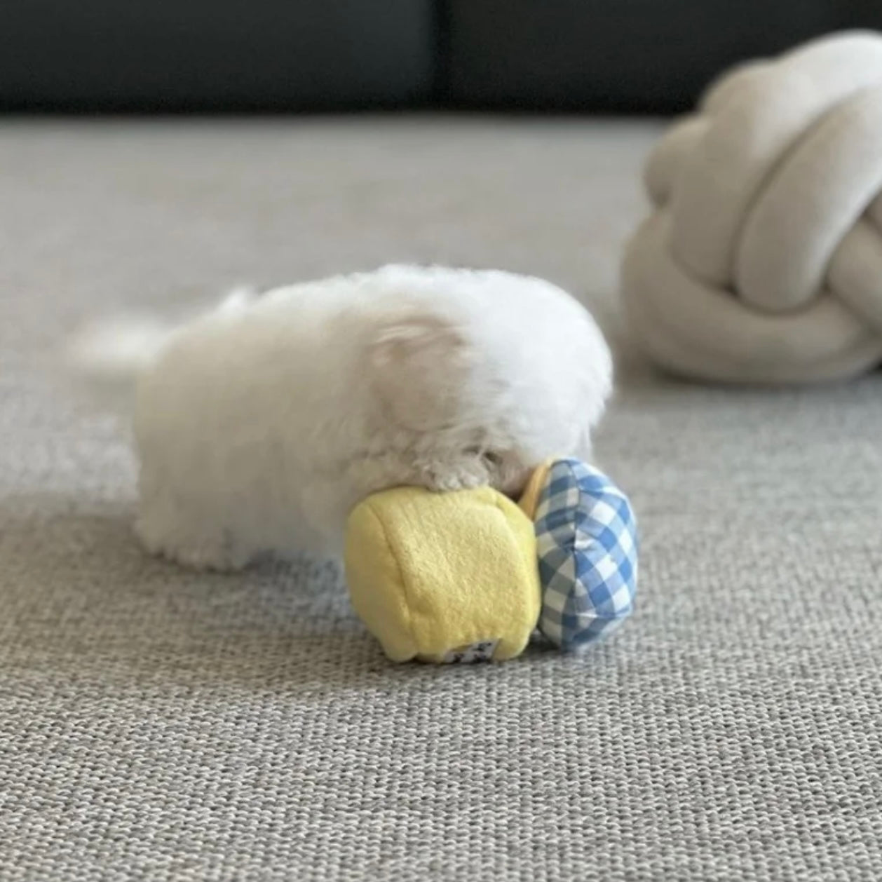 Jam Can Cartoon Hide-and-Seek Toy