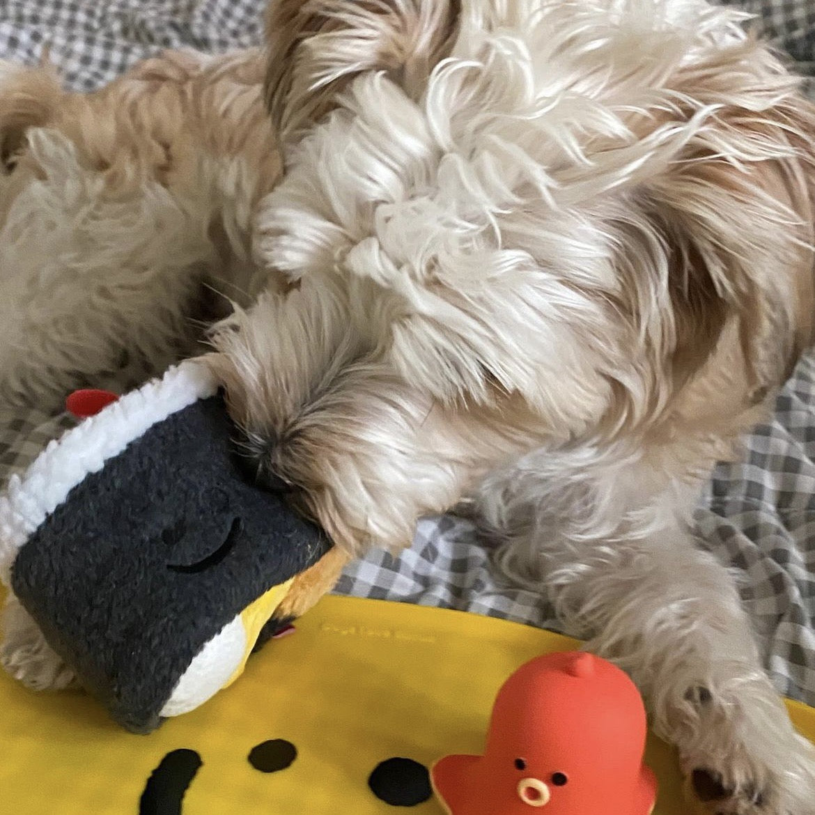 🍱 Korean Sushi Roll Nosework Toy Set