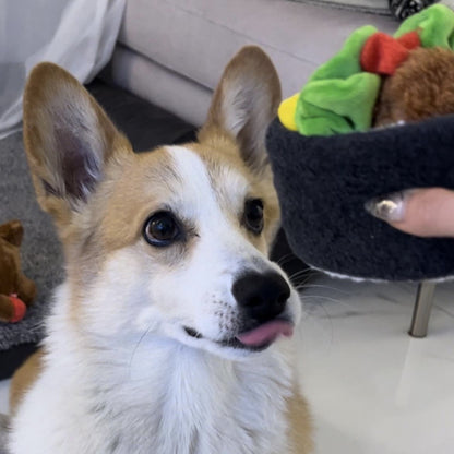 🍱 Korean Sushi Roll Nosework Toy Set