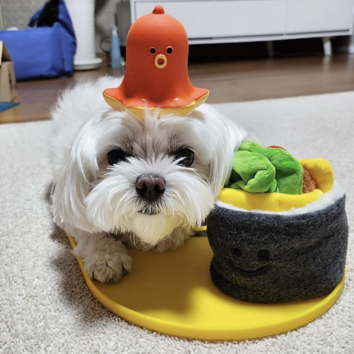 🍱 Korean Sushi Roll Nosework Toy Set