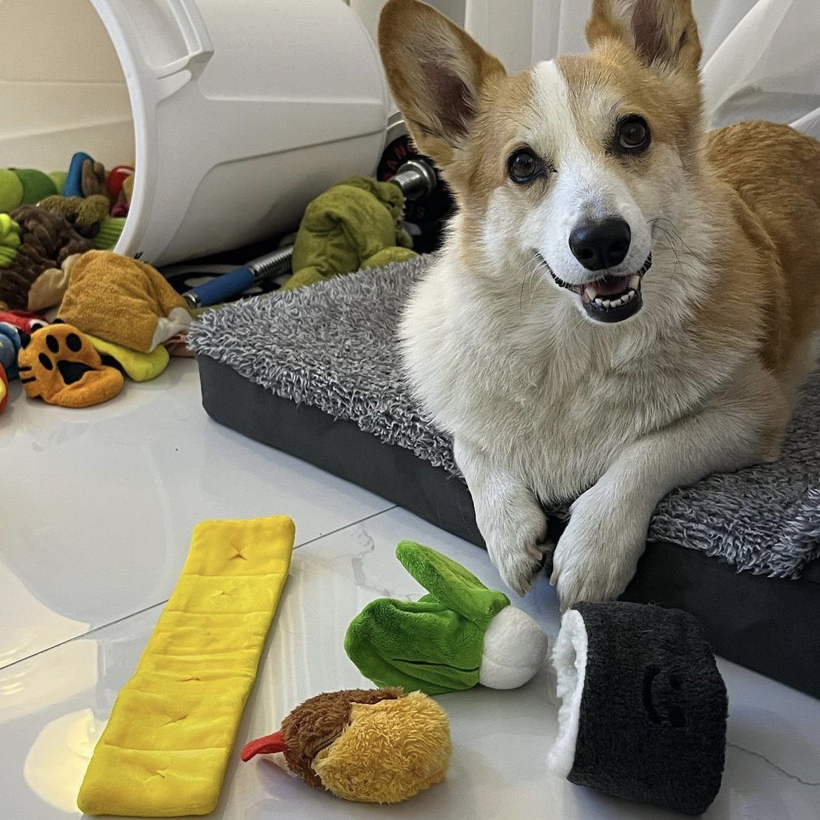 🍱 Korean Sushi Roll Nosework Toy Set