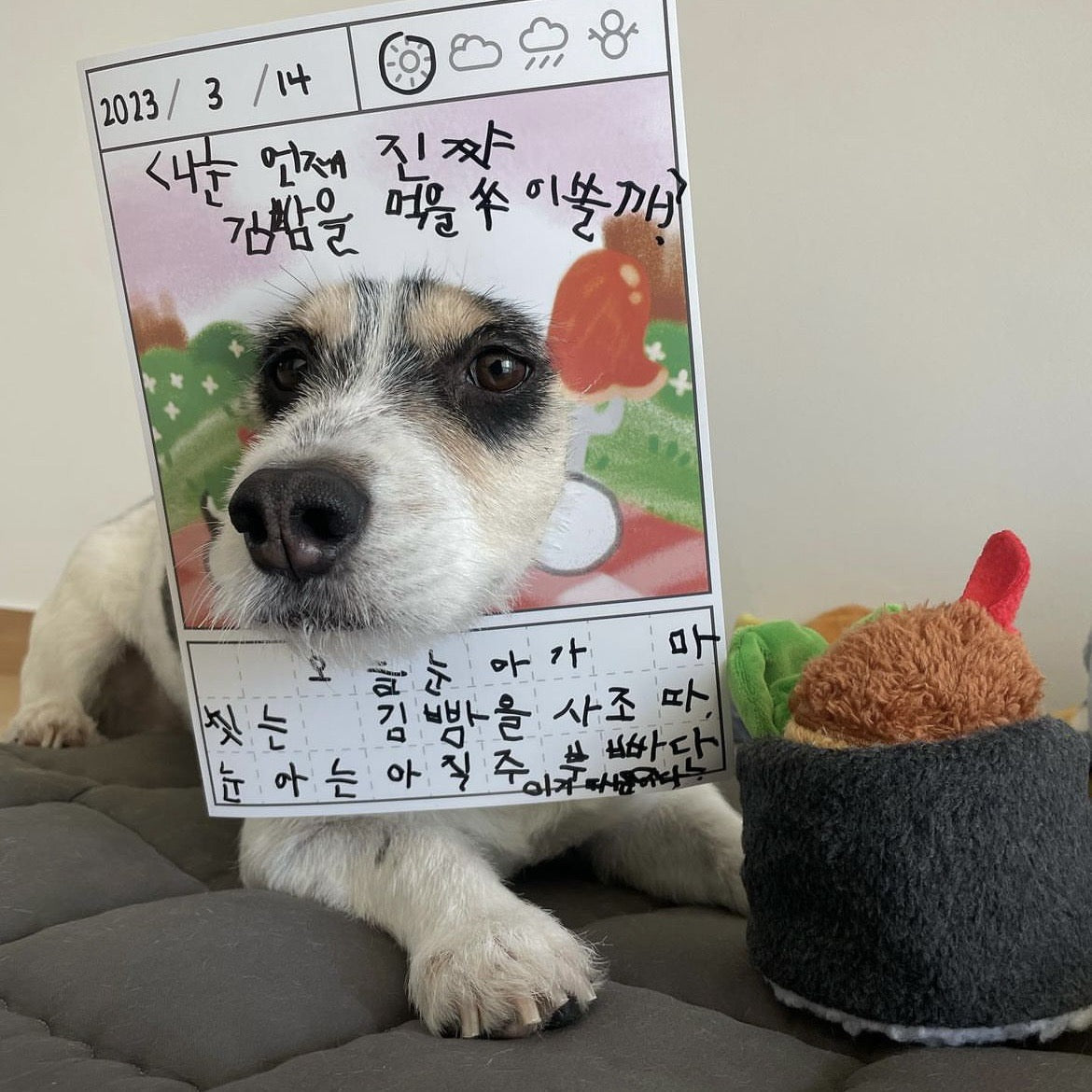 🍱 Korean Sushi Roll Nosework Toy Set