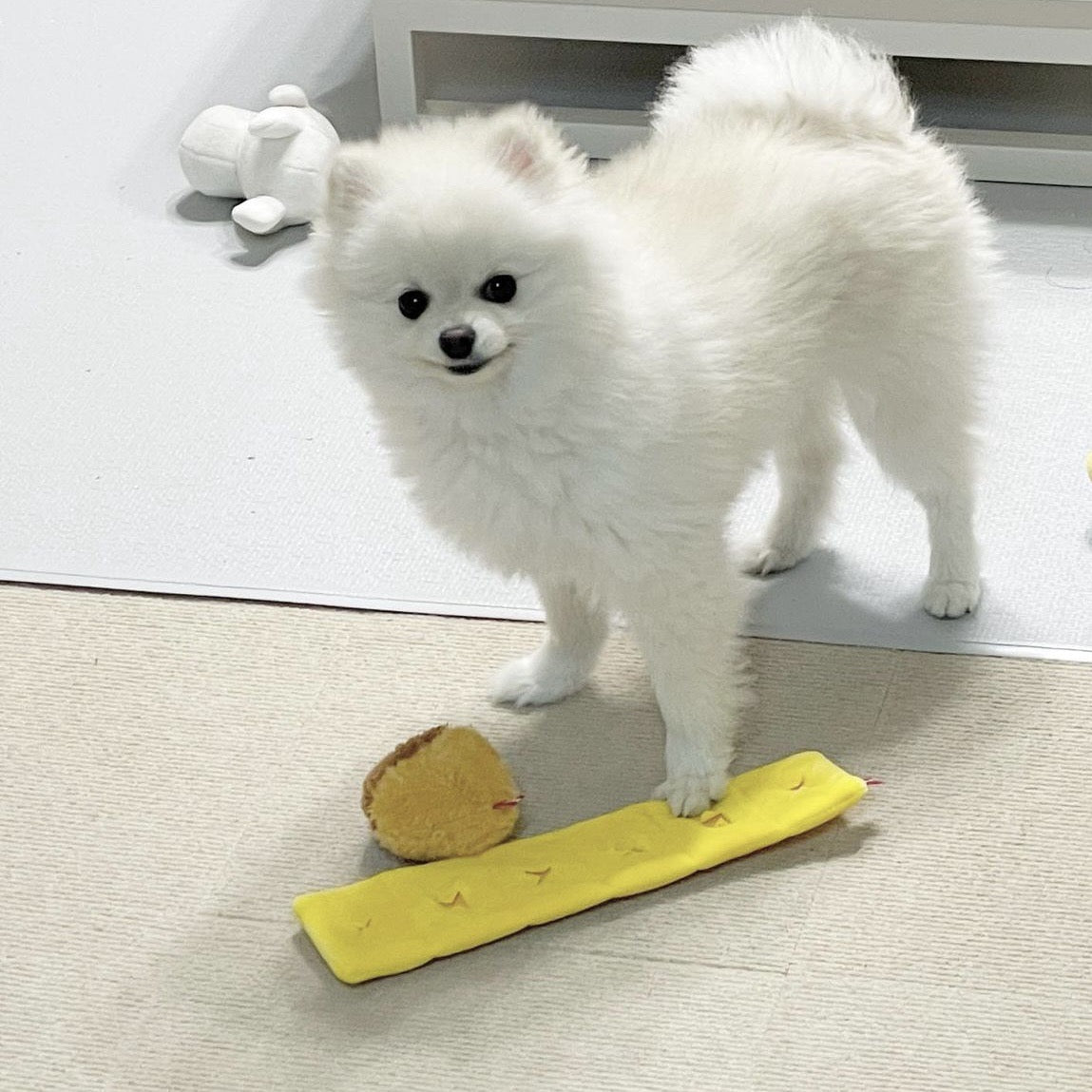 🍱 Korean Sushi Roll Nosework Toy Set