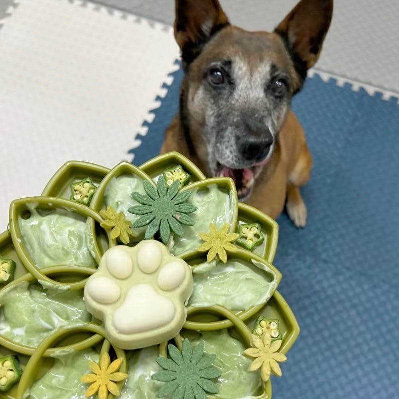 Mandala Design eTray [Green]