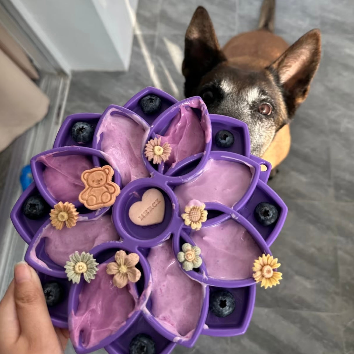 Mandala Design eTray [Purple]