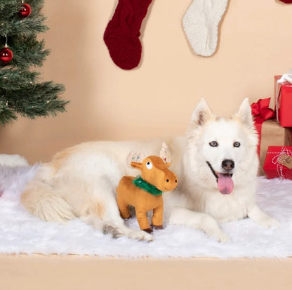 dog with a moose toy in front of a Christmas tree and stockings.