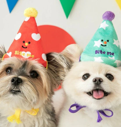 🥳Party Series - Happy Party Hat Toy Set (3pcs)