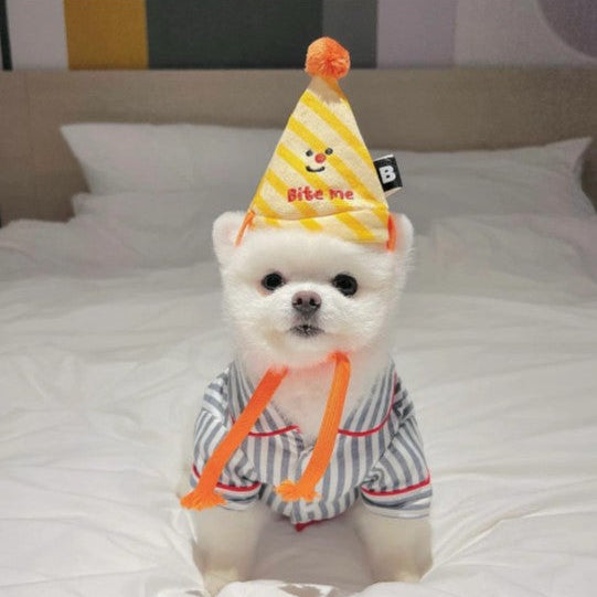 🥳Party Series - Happy Party Hat Toy Set (3pcs)