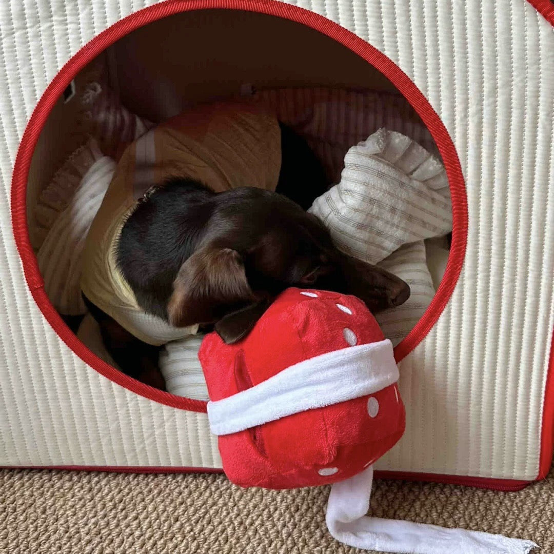 Small dog lying inside a red pet bed with a red plush toy on a textured surface.