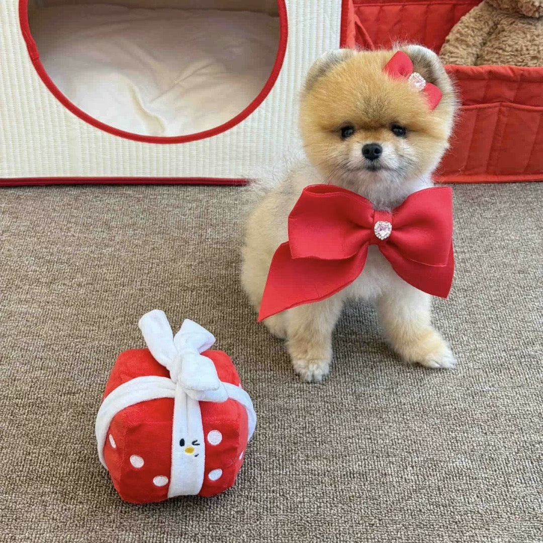 Small dog with a large red bow standing next to a red gift box on a carpeted floor.