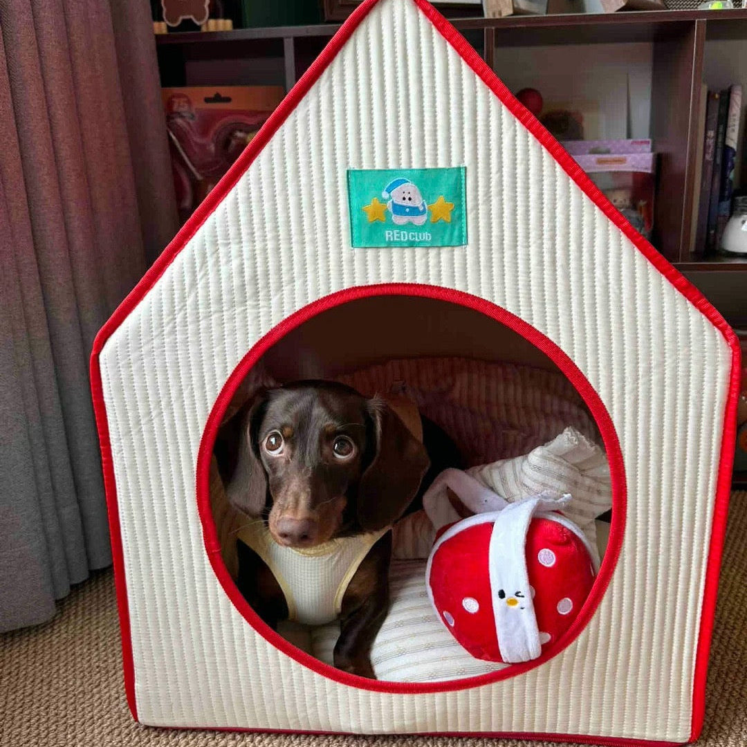 Dog peeking out from a house-shaped pet bed with a visible brand label.