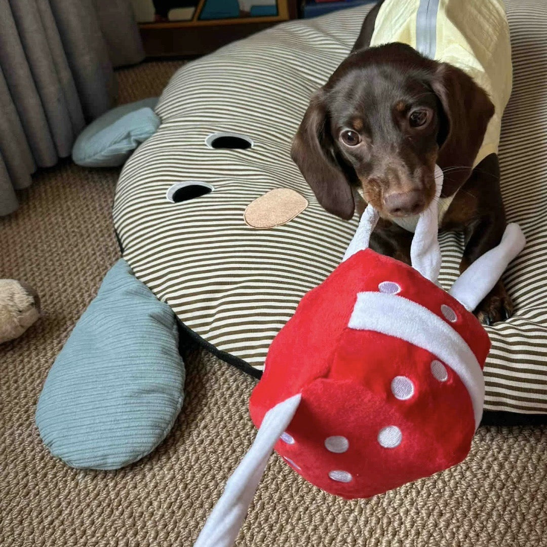 Dog playing with a red and white toy on a striped mat