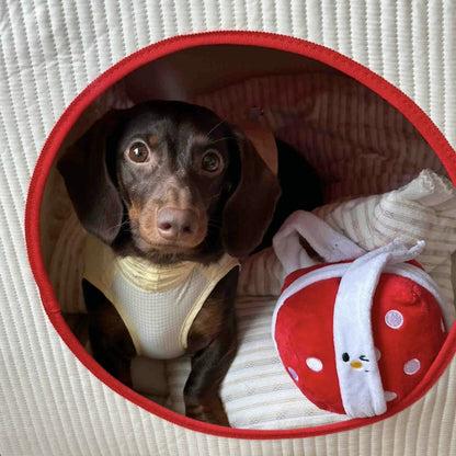 Small dog peeking out from a red and beige pet bed with a plush toy.