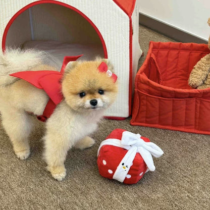Small dog in a red cape with a toy shaped like a present on a carpeted floor.