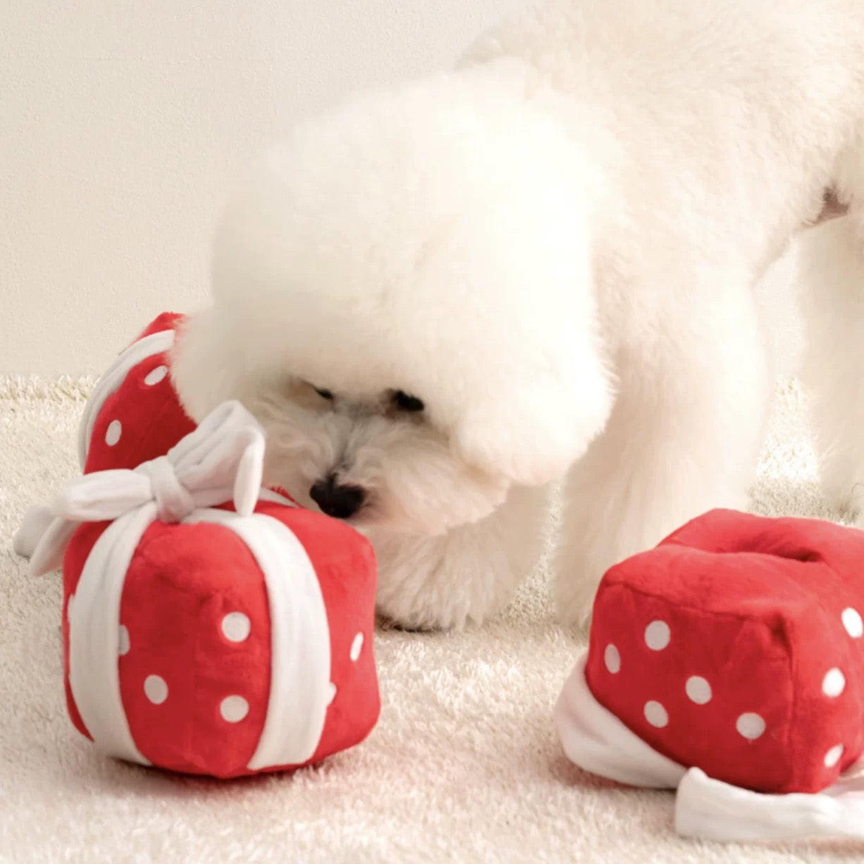 Pawsome Gift Nosework Dog Toy