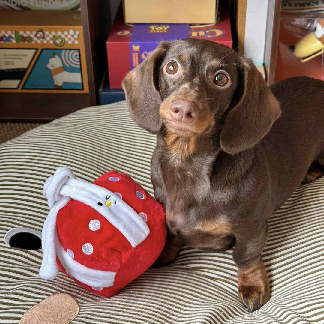 Small dog with a red plush toy on a striped surface