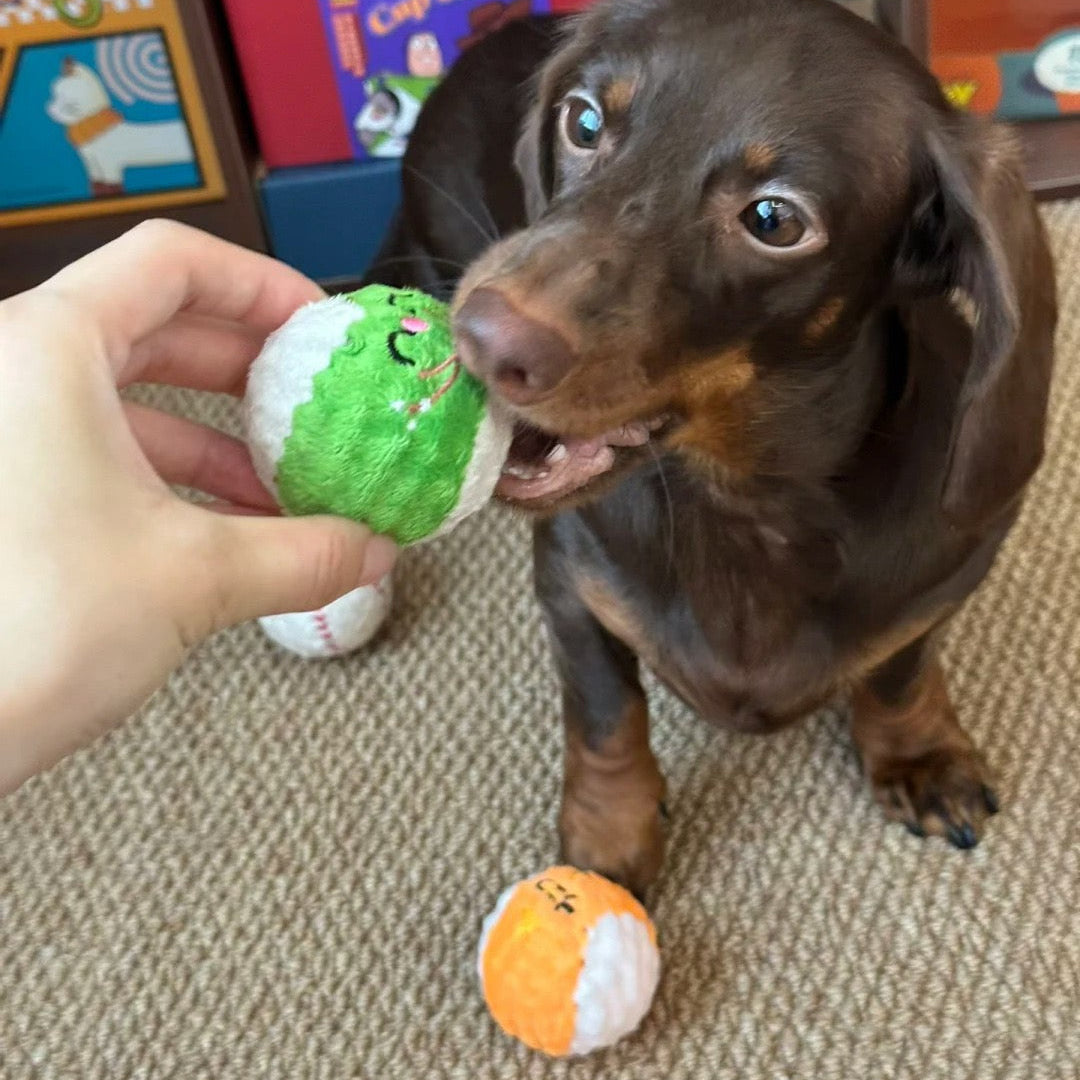🥎Puppy Spiky Squeaky Ball Set (3 pcs)