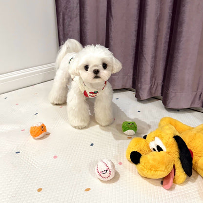 🥎Puppy Spiky Squeaky Ball Set (3 pcs)