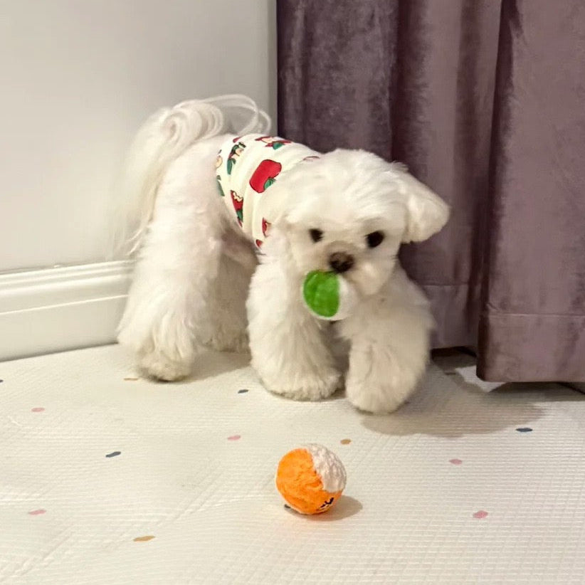 🥎Puppy Spiky Squeaky Ball Set (3 pcs)