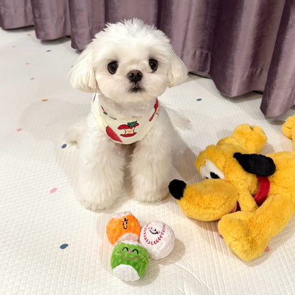 🥎Puppy Spiky Squeaky Ball Set (3 pcs)