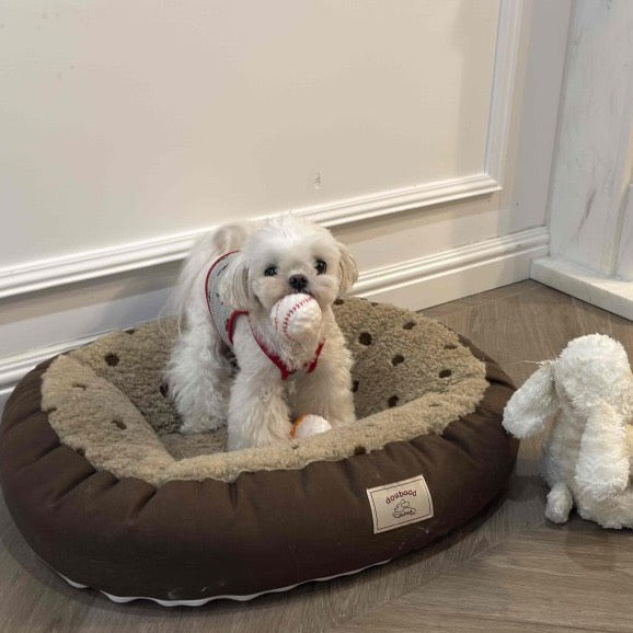 🥎Puppy Spiky Squeaky Ball Set (3 pcs)