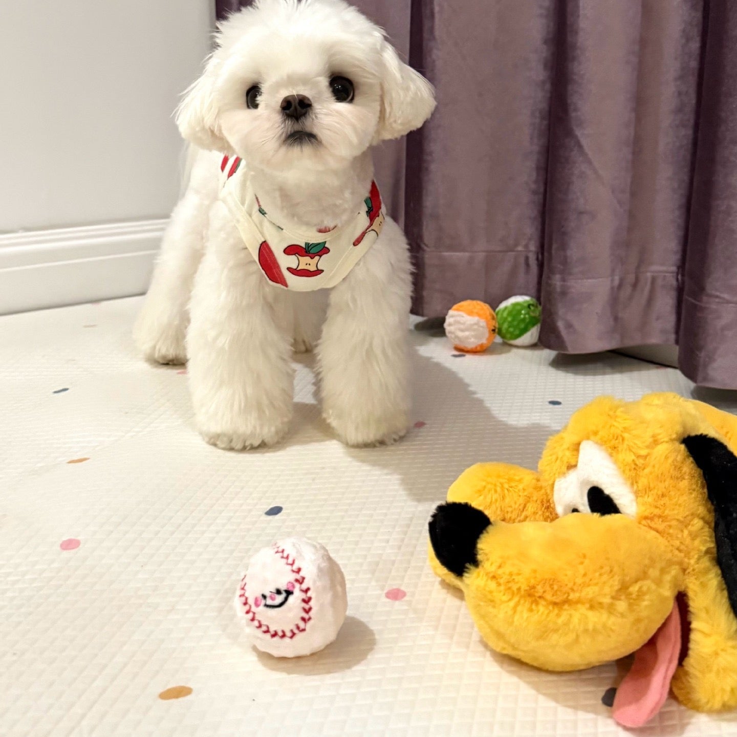 🥎Puppy Spiky Squeaky Ball Set (3 pcs)