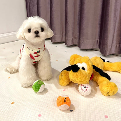 🥎Puppy Spiky Squeaky Ball Set (3 pcs)