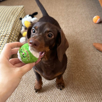 🥎Puppy Spiky Squeaky Ball Set (3 pcs)