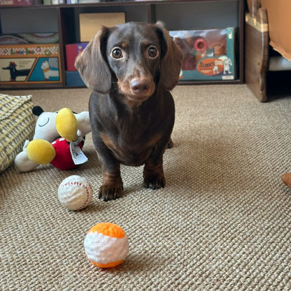 🥎Puppy Spiky Squeaky Ball Set (3 pcs)