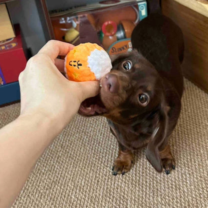 🥎Puppy Spiky Squeaky Ball Set (3 pcs)