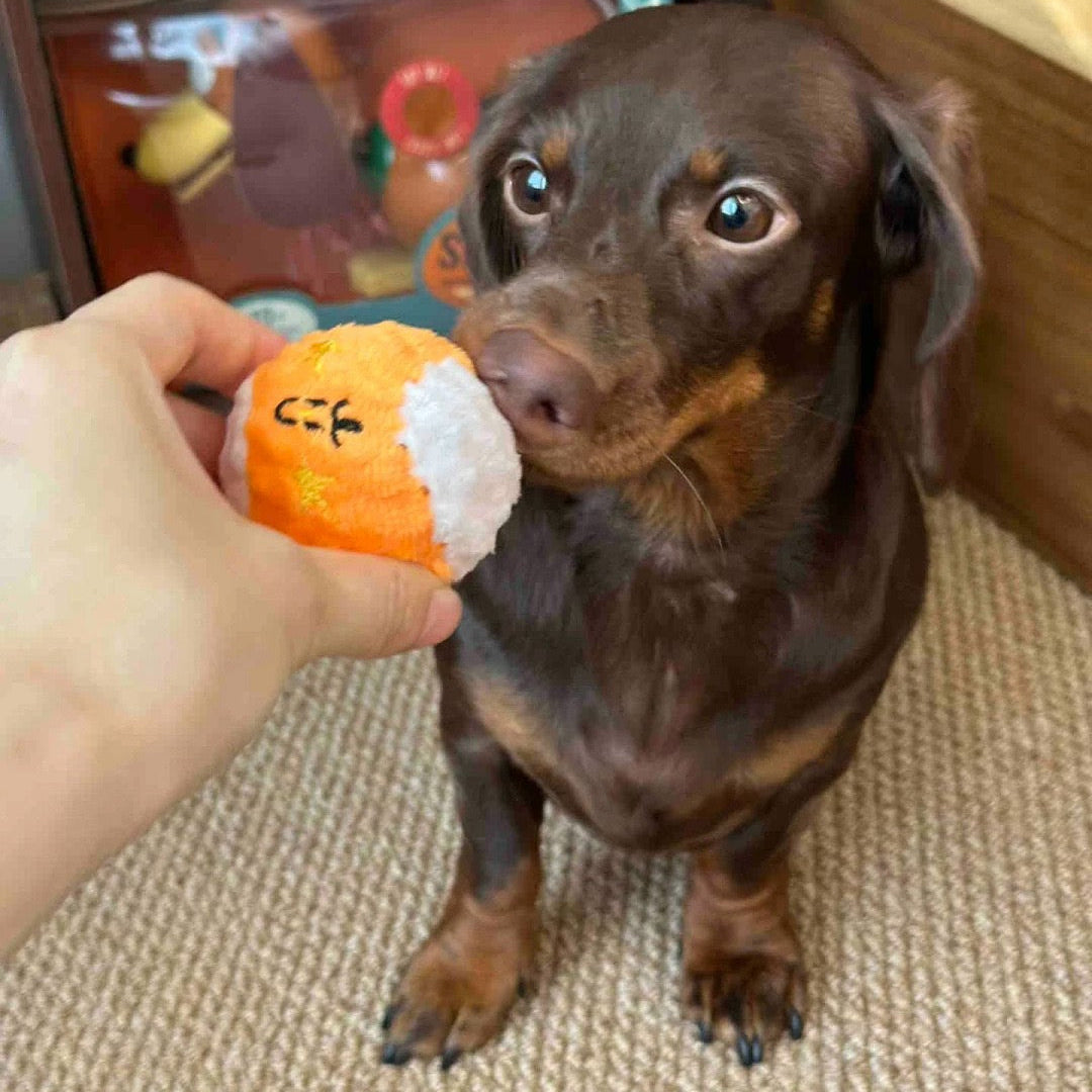 🥎Puppy Spiky Squeaky Ball Set (3 pcs)