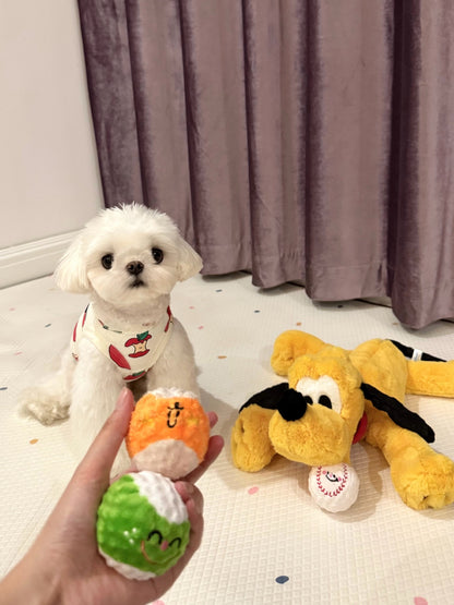 🥎Puppy Spiky Squeaky Ball Set (3 pcs)