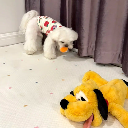 🥎Puppy Spiky Squeaky Ball Set (3 pcs)