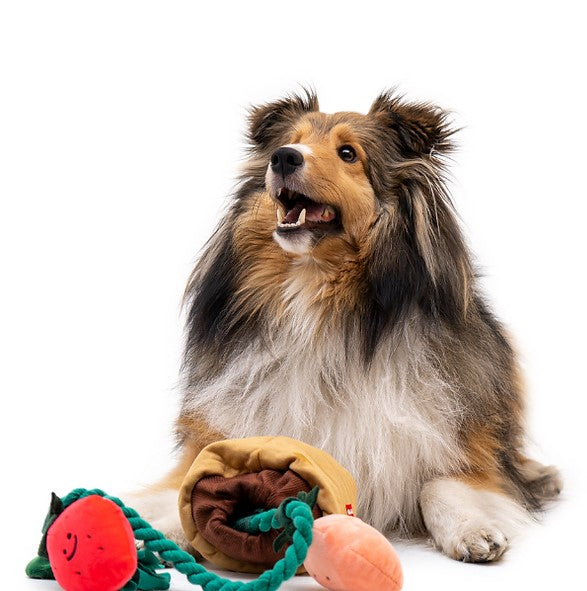 🍓 Strawberry Tug Toy Set
