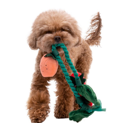 🍓 Strawberry Tug Toy Set