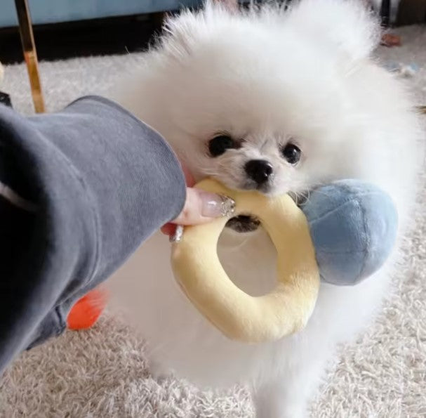 💍Diamond Ring Box Plush Dog Toy