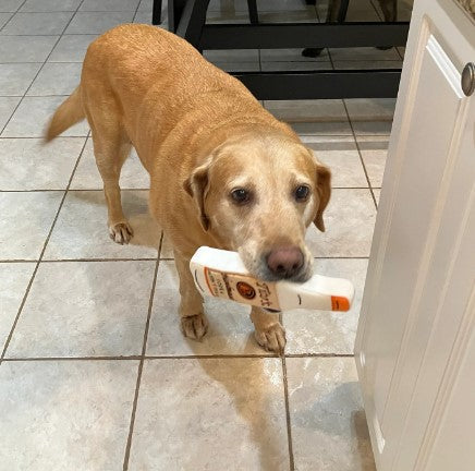 🥃 Tito’s Handmade Vodka Squeaky Dog Toy