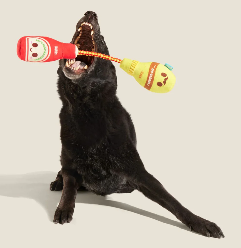 🌭 Pass The Condimutts Tug Toy